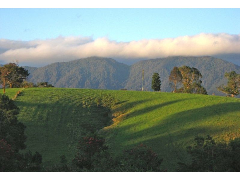 Lot 1, 285 Hydes Creek Road, Bellingen NSW 2454