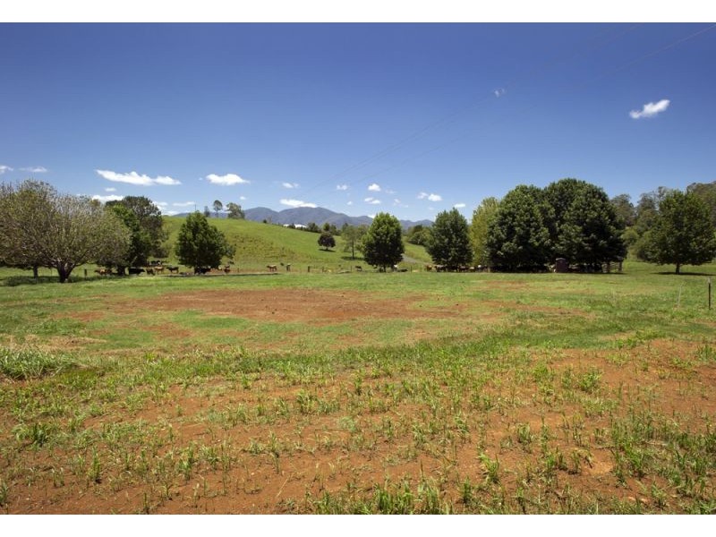 Lot 1, 285 Hydes Creek Road, Bellingen NSW 2454