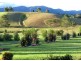 Lot 1, 285 Hydes Creek Road, Bellingen NSW 2454