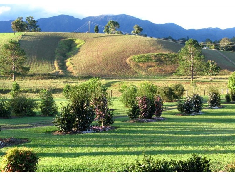 Lot 1, 285 Hydes Creek Road, Bellingen NSW 2454