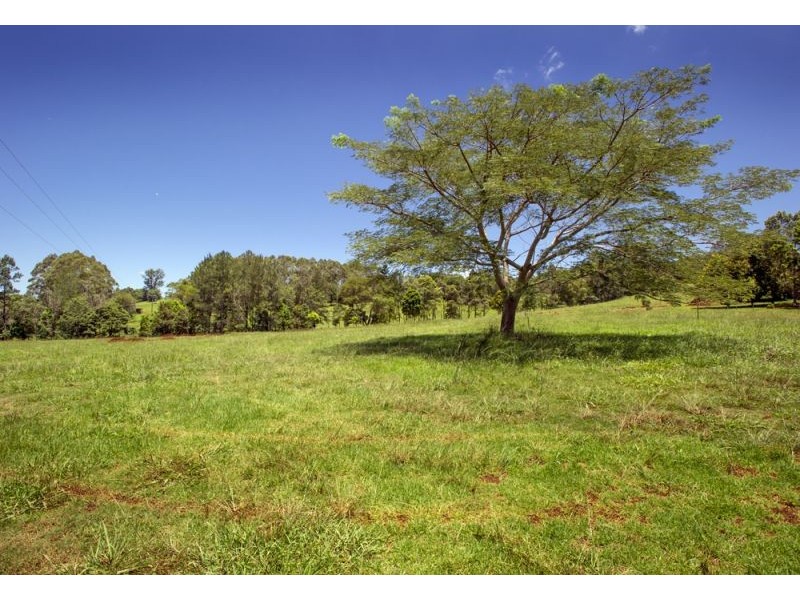 Lot 3, 285 Hydes Creek Road, Bellingen NSW 2454