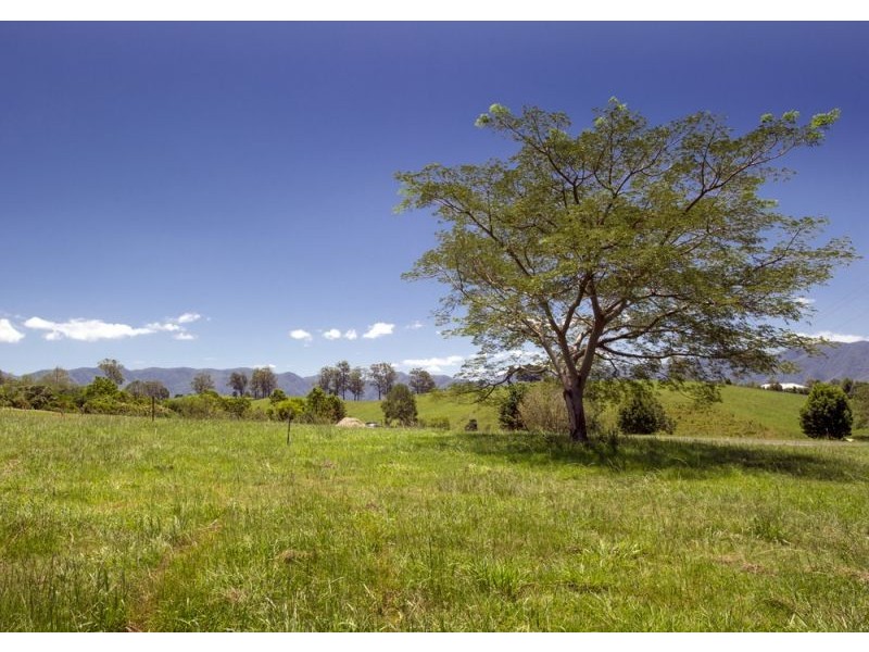 Lot 3, 285 Hydes Creek Road, Bellingen NSW 2454