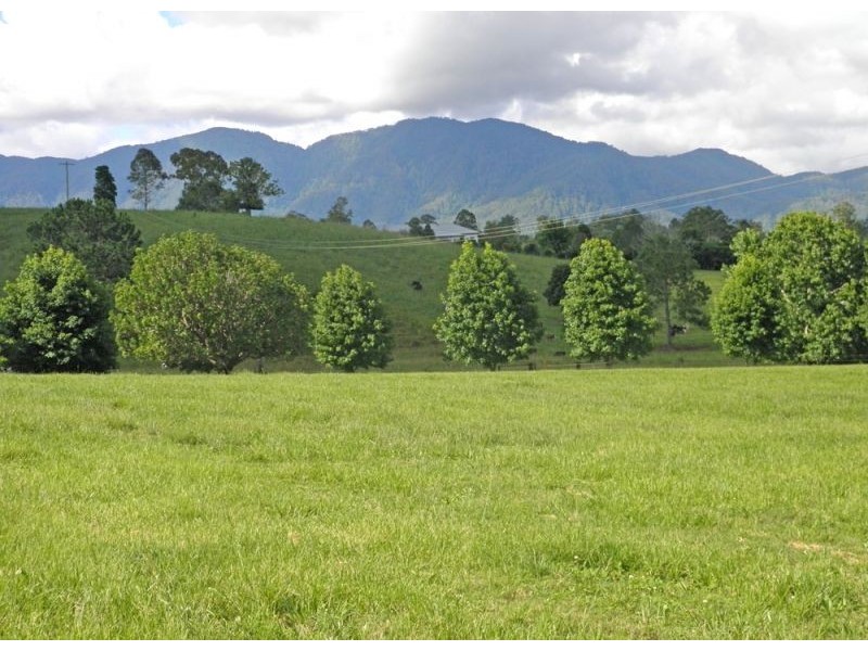 Lot 3, 285 Hydes Creek Road, Bellingen NSW 2454