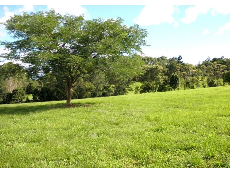 Lot 3, 285 Hydes Creek Road, Bellingen NSW 2454