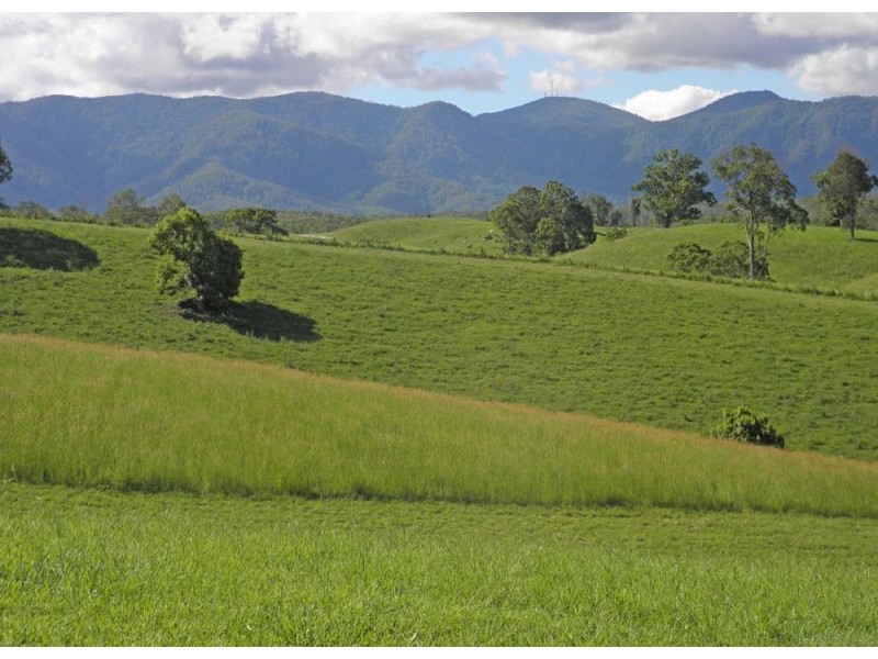 Lot 4, 285 Hydes Creek Road, Bellingen NSW 2454