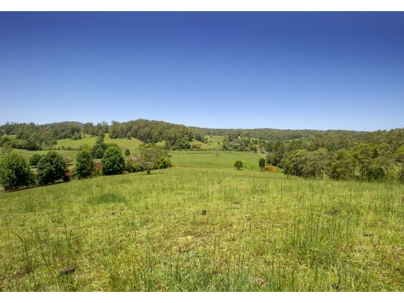 Lot 4, 285 Hydes Creek Road, Bellingen NSW 2454