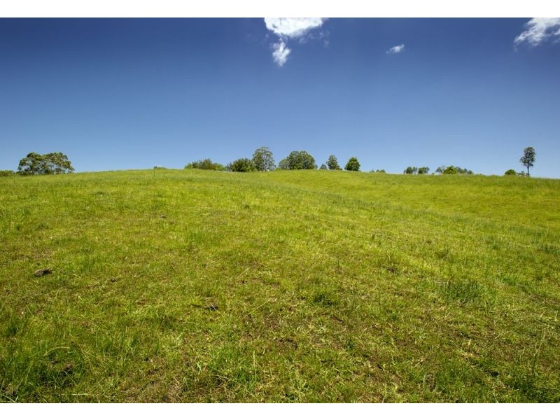 Lot 4, 285 Hydes Creek Road, Bellingen NSW 2454