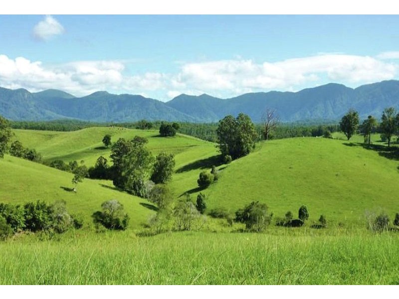 285 Hydes Creek Road, Bellingen NSW 2454