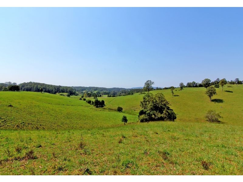 285 Hydes Creek Road, Bellingen NSW 2454