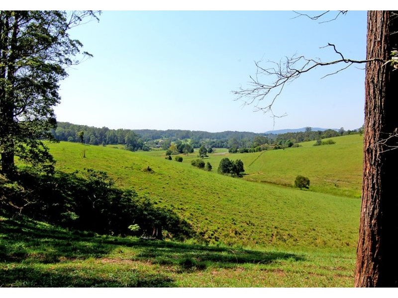 285 Hydes Creek Road, Bellingen NSW 2454