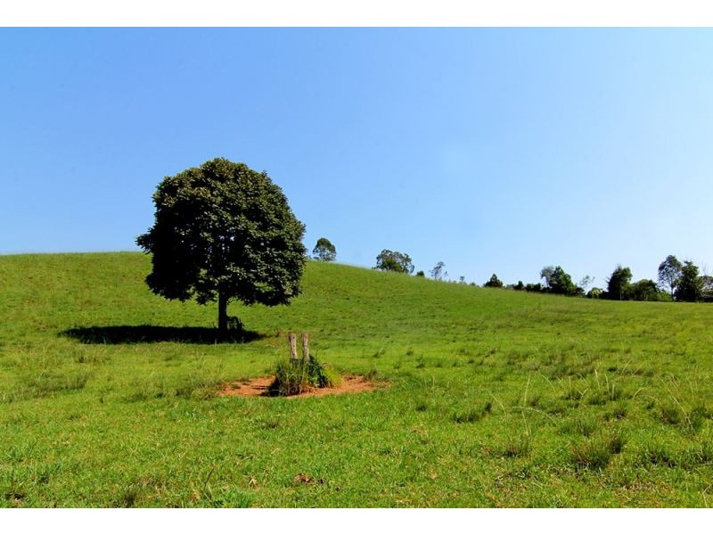 285 Hydes Creek Road, Bellingen NSW 2454