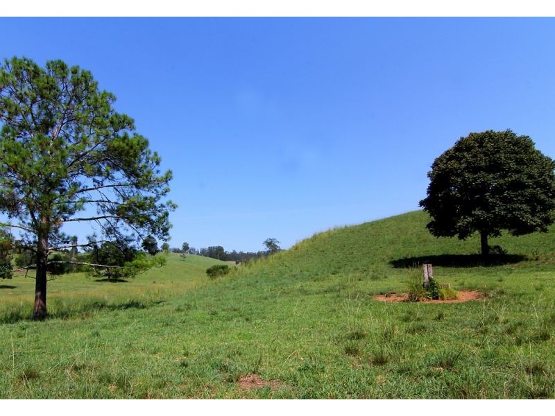285 Hydes Creek Road, Bellingen NSW 2454