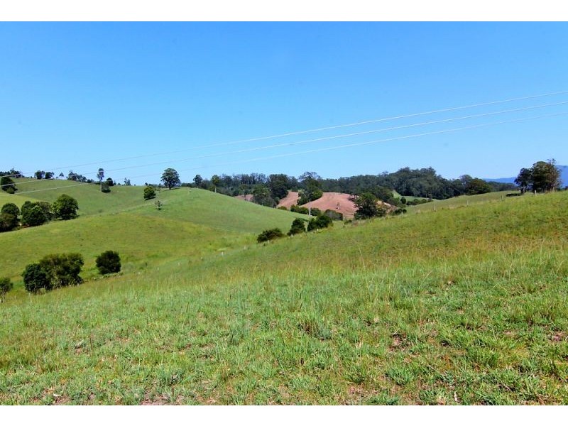 285 Hydes Creek Road, Bellingen NSW 2454
