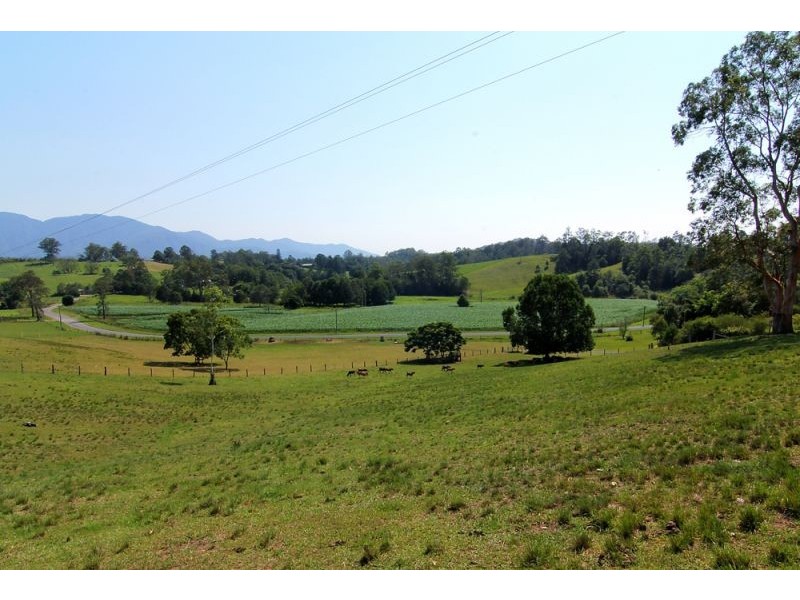 285 Hydes Creek Road, Bellingen NSW 2454