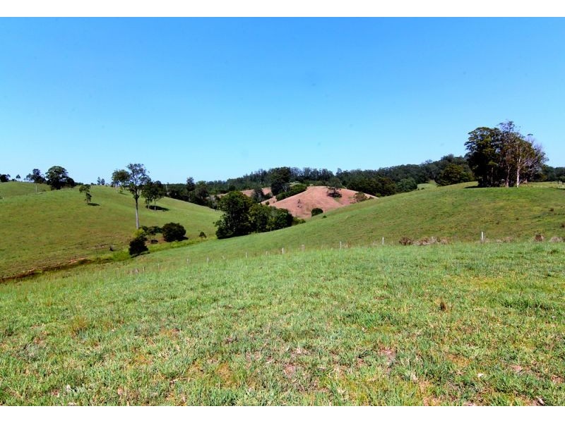 285 Hydes Creek Road, Bellingen NSW 2454