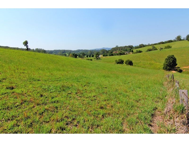 285 Hydes Creek Road, Bellingen NSW 2454