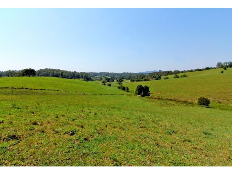 285 Hydes Creek Road, Bellingen NSW 2454