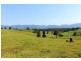 285 Hydes Creek Road, Bellingen NSW 2454