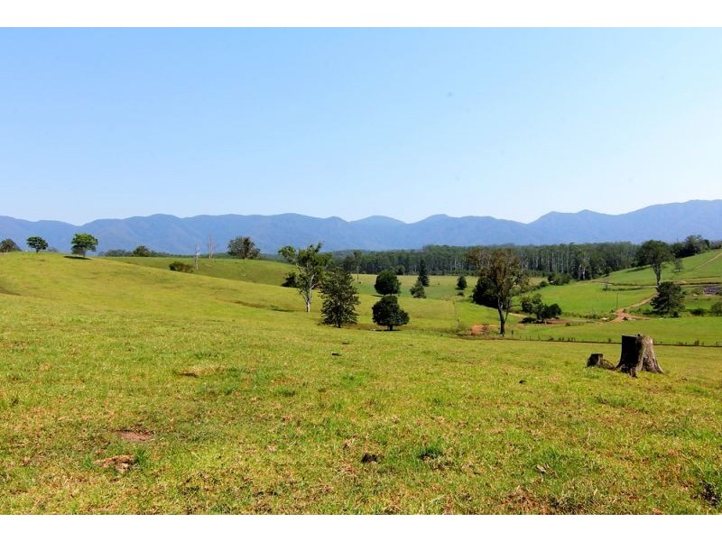 285 Hydes Creek Road, Bellingen NSW 2454