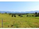 285 Hydes Creek Road, Bellingen NSW 2454