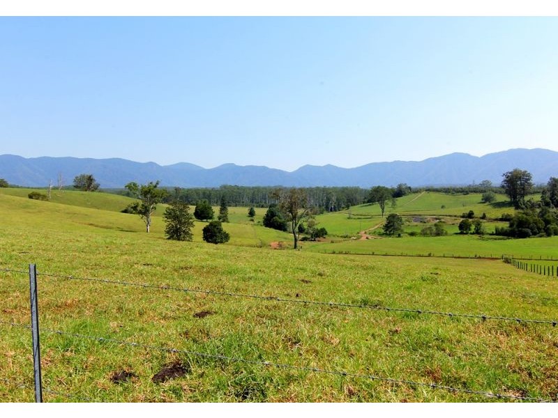 285 Hydes Creek Road, Bellingen NSW 2454