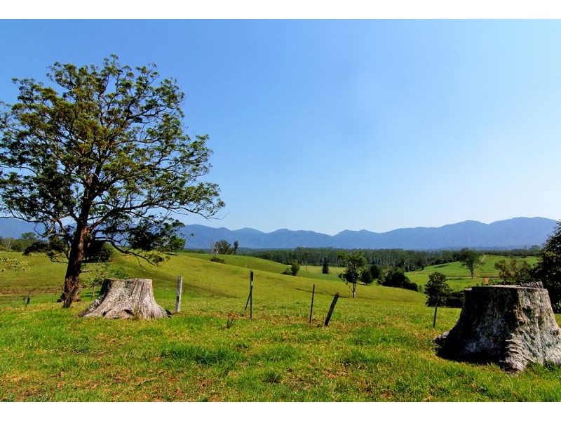 285 Hydes Creek Road, Bellingen NSW 2454