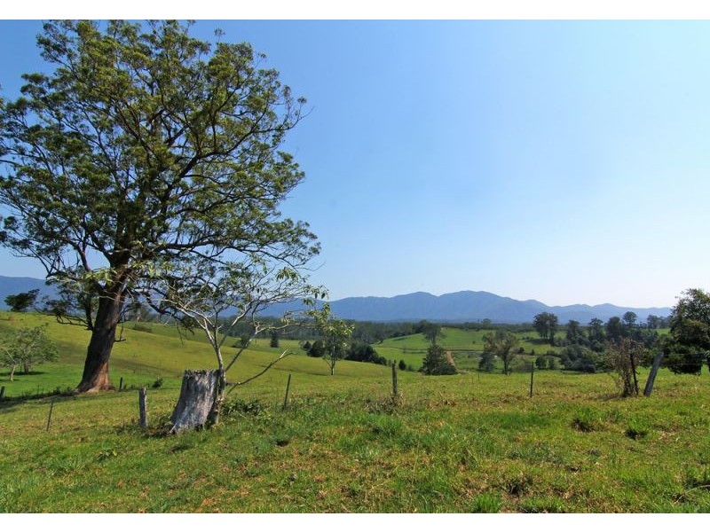 285 Hydes Creek Road, Bellingen NSW 2454