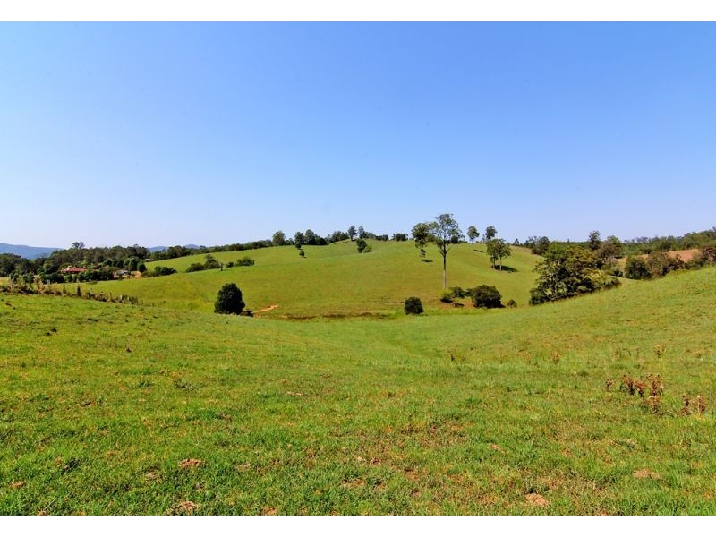 285 Hydes Creek Road, Bellingen NSW 2454