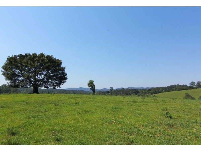 285 Hydes Creek Road, Bellingen NSW 2454