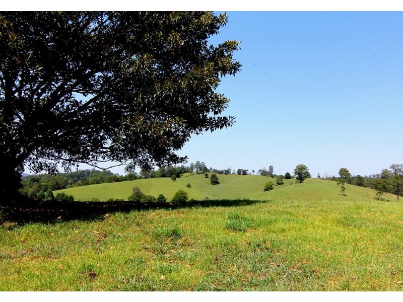 285 Hydes Creek Road, Bellingen NSW 2454