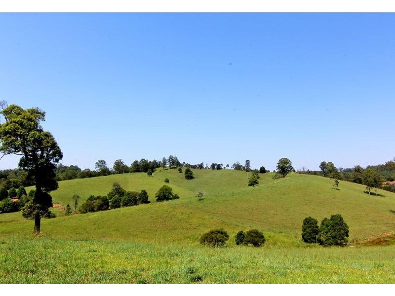 285 Hydes Creek Road, Bellingen NSW 2454