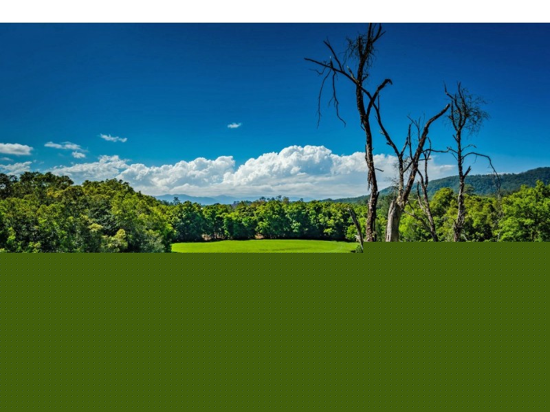 853 Bowraville Road, Bellingen NSW 2454