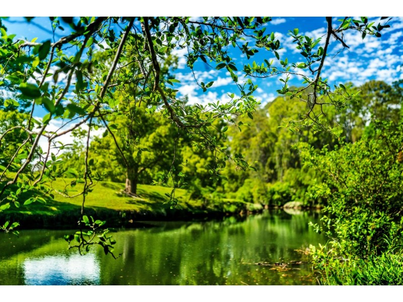 853 Bowraville Road, Bellingen NSW 2454