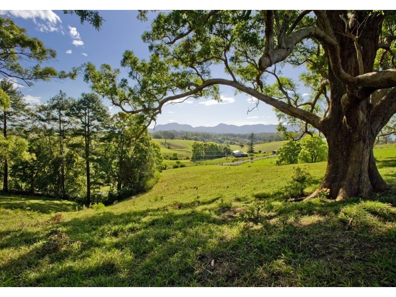 Lot 3, 197 North Bank Road, Bellingen NSW 2454