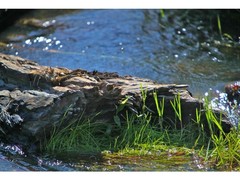 Lot 3, 197 North Bank Road, Bellingen NSW 2454