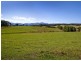 Lot 3, 197 North Bank Road, Bellingen NSW 2454
