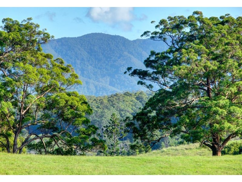 Lot 3, 197 North Bank Road, Bellingen NSW 2454