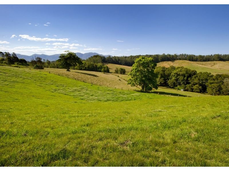 Lot 7, 197 North Bank Road, Bellingen NSW 2454