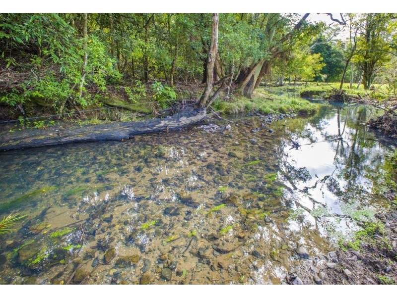 128F Friday Creek Road, Upper Orara NSW 2450