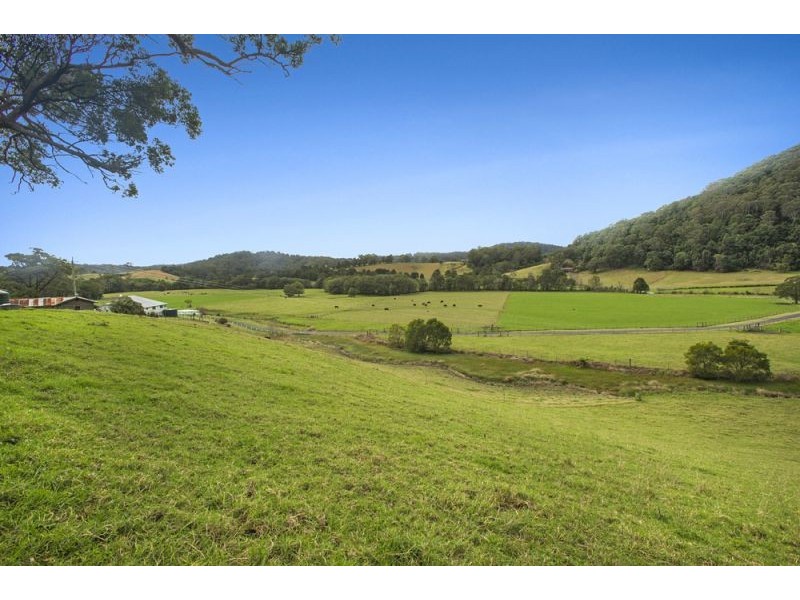 128F Friday Creek Road, Upper Orara NSW 2450
