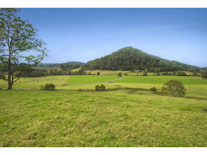 128F Friday Creek Road, Upper Orara NSW 2450