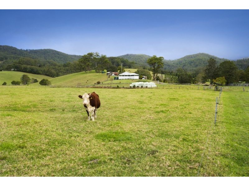 128F Friday Creek Road, Upper Orara NSW 2450