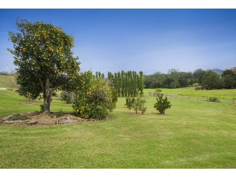 128F Friday Creek Road, Upper Orara NSW 2450