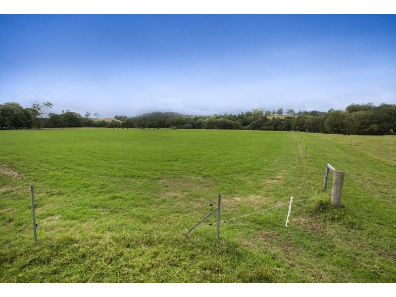 128F Friday Creek Road, Upper Orara NSW 2450