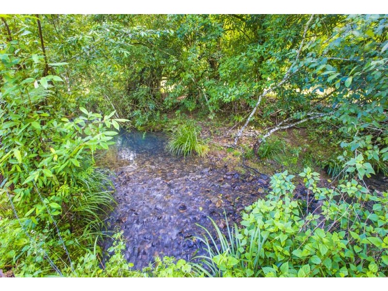 128F Friday Creek Road, Upper Orara NSW 2450