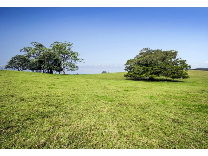 128F Friday Creek Road, Upper Orara NSW 2450