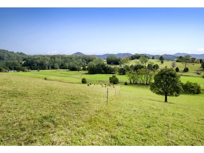 128F Friday Creek Road, Upper Orara NSW 2450