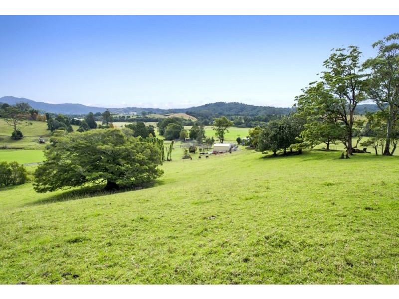 128F Friday Creek Road, Upper Orara NSW 2450