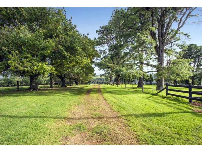 5518 Waterfall Way, Fernbrook, Dorrigo NSW 2453