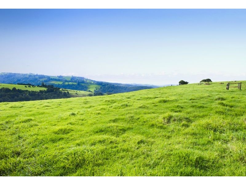 5518 Waterfall Way, Fernbrook, Dorrigo NSW 2453